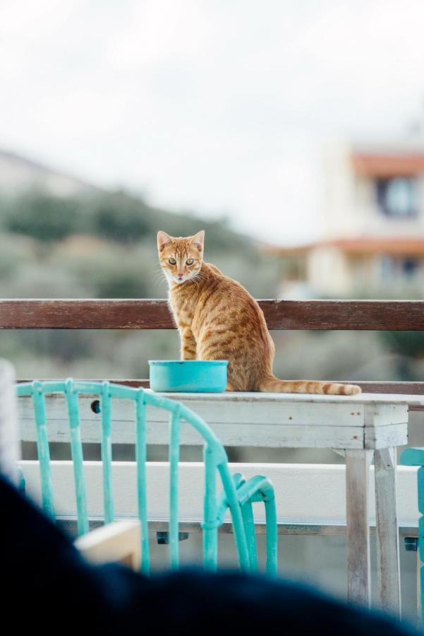 Villa Saveriako, Paradise For Relaxed Free Spirits Agia Pelagia  Exterior foto