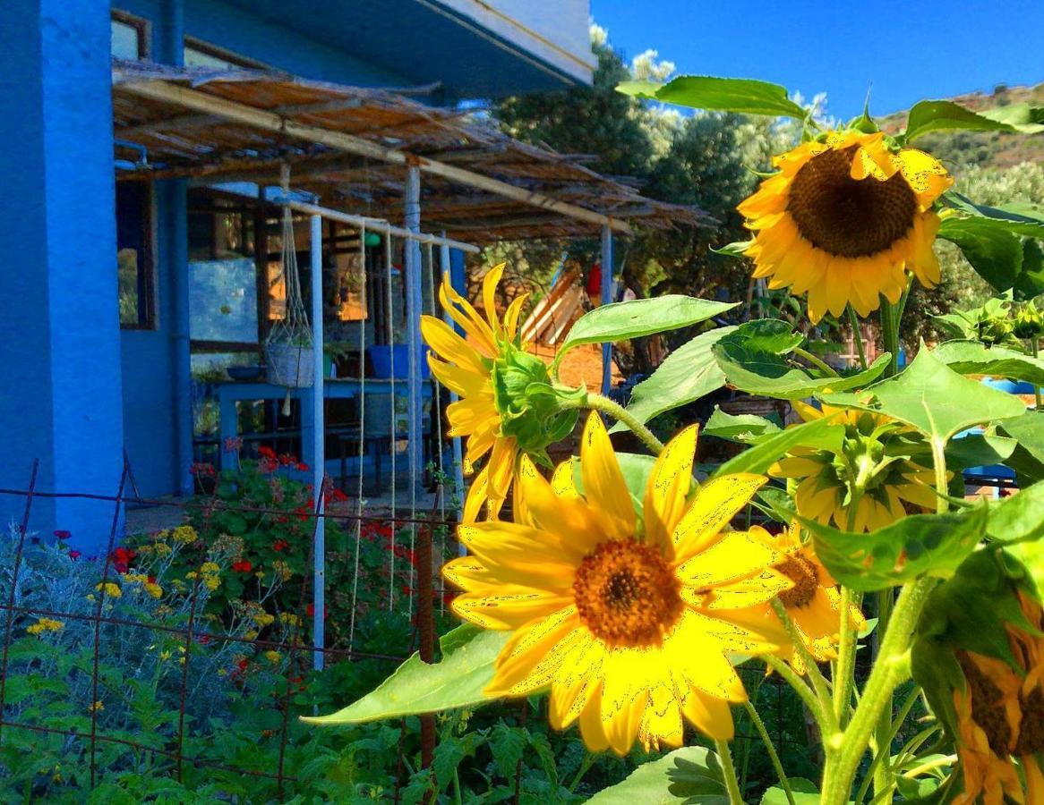 Villa Saveriako, Paradise For Relaxed Free Spirits Agia Pelagia  Exterior foto