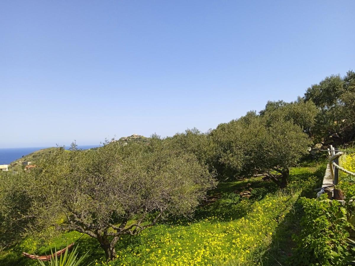 Villa Saveriako, Paradise For Relaxed Free Spirits Agia Pelagia  Exterior foto