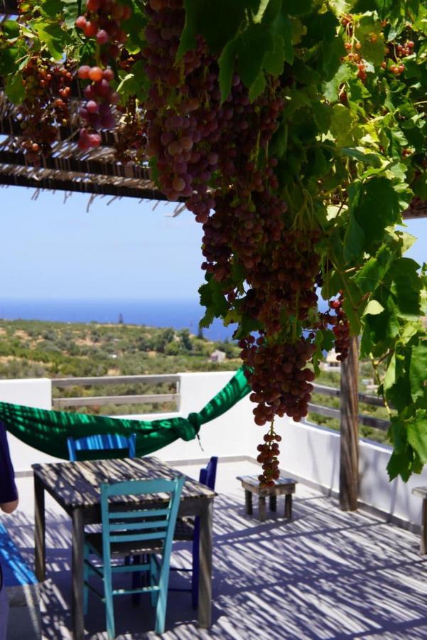Villa Saveriako, Paradise For Relaxed Free Spirits Agia Pelagia  Exterior foto