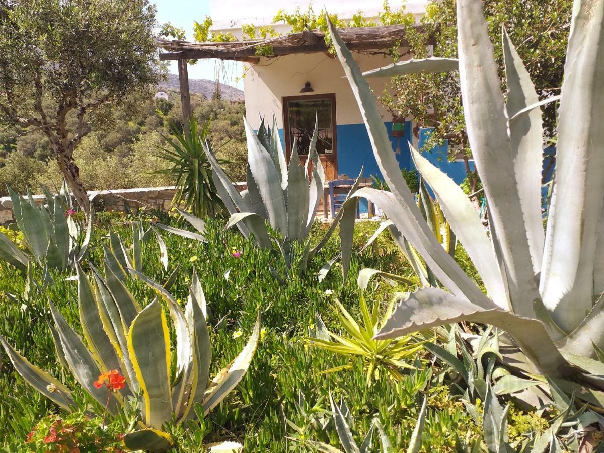 Villa Saveriako, Paradise For Relaxed Free Spirits Agia Pelagia  Exterior foto
